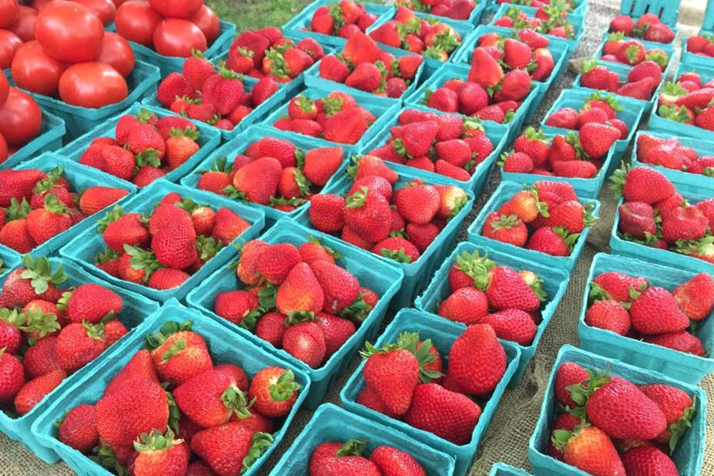 Strawberry Fest, The Wilbraham Mansion Bed & Breakfast, On the Jersey Shore